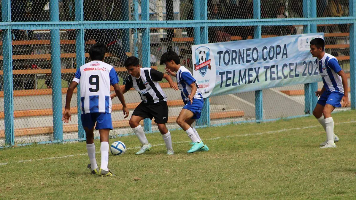 Torneo Telmex